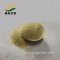 bone glue technical Industrial 8 mesh gelatin powder